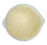 Levure Comestible Inactive de Qualité Alimentaire, Poudre de Levure Nutritionnelle Post-partum, Additifs Nutritionnels, Suppléments Nutritionnels Végétariens