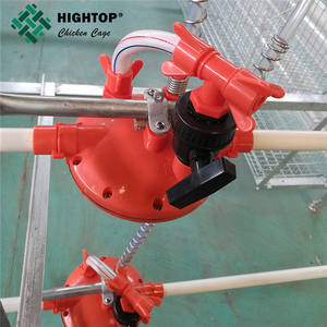 Nueva jaula automática <span class=keywords><strong>para</strong></span> pollos con batería de capa <span class=keywords><strong>para</strong></span> granjas avícolas con sistema de alimentación automática eficiente - Product Image 3