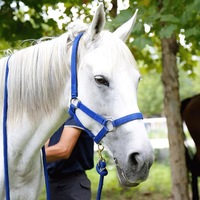Équipement équestre Accessoires Équitation Bride Extérieur Nylon Polyester Nylon Corde Expédition Halter Selle Anglaise