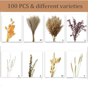 Dried Flowers Dry <strong>Pampasgrass</strong> Decoration Natural Pampas Grass Bouquet for Home Bohemian Autumn - Product Image 3
