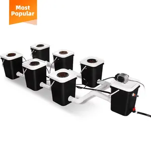 Sunplus Recirculating Dwc Hydroponic Nutrient Automatic Control System Hydroponic Bucket Greenhouse Planting Hydroponic Supplier