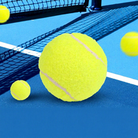 BTYP WQ-04 Ballons de padel haute performance, durables, rebond élevé, 300g, lot de 3, pour entraînement, adultes, jeunes, débutants