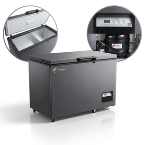 Accessori per Frigorifero a Pozzetto con Inverter, Raffreddamento ad Aria, Alta Prestazione, Pannello Verniciato PCM per Uso Domestico - Product Image 5