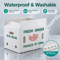 Boîte à gingembre ondulée lavable et réutilisable, étanche, empilable, dégradable, avec trous de ventilation, pour la récolte et le transport du gingembre frais
