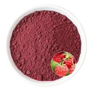 Bubuk ekstrak Raspberry berkualitas bubuk buah Premium cocok untuk perawatan kesehatan aplikasi dan pengembangan bahan mentah industri - Product Image 2