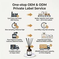 Diffuseur de parfum de luxe avec logo personnalisé OEM/ODM et design d'emballage de marque pour la maison et la décoration hôtelière