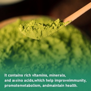 OEM/ODM Private Label Matcha Green Tea Mix Focus Think with Ultra Concentrated Extract Hint of Ginger Root Powder Focus - Product Image 3