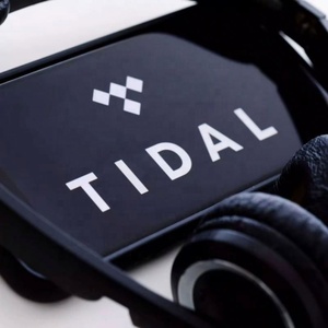 การสมัครสมาชิกเพลง Tidal Tidal แบบพิเศษ Tidal HIFI PLUS 6เดือน - Product Image 2