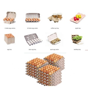 Best Manufacturer Pieces Per Hour Automatic 4 Side Paper Pulp Molding Container Holder Crate Flats Tray Making <b>Machine</b> - Product Image 5