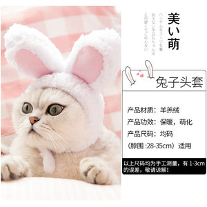 Chapeau à oreilles de lapin pour chat, bandeau doux de dessin animé pour animaux de compagnie, style printemps - Product Image 2