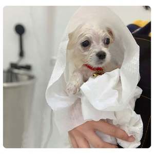 कुत्ते नई शैली त्वरित सूखी पालतू सुखाने सौंदर्य तौलिया पालतू जानवर स्नान तौलिया पालतू पशुओं की आपूर्ति - Product Image 3