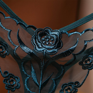 Tangas sexys de encaje europeo para mujer, con bordado, malla transparente, finas, talla grande, sin costuras, tipo T-string, muy vendidas. - Product Image 3