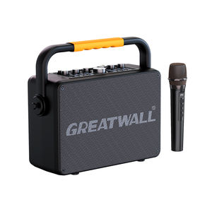 เครื่องคาราโอเกะกลางแจ้ง 100W พร้อมไมโครโฟนคู่ ลำโพงบลูทูธ เครื่องเล่นเพลงพกพาสำหรับงานปาร์ตี้และการร้องเพลง - Product Image 2