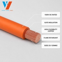 Câble de Harnais Haute Tension UYC pour Véhicules Électriques, Blindé XLPE, EVR 2AWG 3AWG 4AWG, Fil de Cuivre Flexible pour Batterie - Vente en Gros