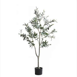 Arbre d'<span class=keywords><strong>olivier</strong></span> artificiel réaliste en plastique vert, résistant aux UV, <span class=keywords><strong>2m</strong></span>, pour la maison, le salon, le centre commercial, longue durée - Product Image 2