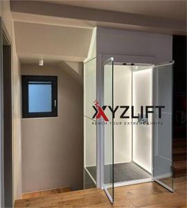 Lift EN81-41 2 lantai Lift hidrolik, untuk rumah Villa harga rendah perumahan Lift rumah penggunaan dalam dan luar ruangan - Product Image 4