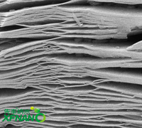 Nano Mxenes-Polvo de carburo de titanio de alta calidad, 100-200nm, Ti3C2Tx, con el mejor precio, envío con la misma orden