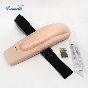 Modèle d'entraînement à la ponction veineuse pour les mains et les bras, modèle d'enseignement des sciences médicales - Product Image 6