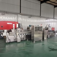Ligne de production de frites de bananes, machine à chips de pommes de terre