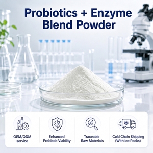 Poudre de probiotiques et d'enzymes à marque privée OEM contenant du Bifidobacterium Longum <span class=keywords><strong>BL1</strong></span> avec de la Nattokinase pour une circulation sanguine saine - Product Image 1