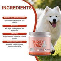 Friandises à mâcher molles pour chiens à base de champignons Turkey Tail et de bromélaïne probiotique - Soutien immunitaire, santé digestive, tous âges