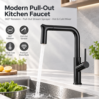 Robinet de cuisine extractible avec douchette, montage sur plan, rotation à 360 degrés, mitigeur d'évier pour maison, appartement, usage commercial