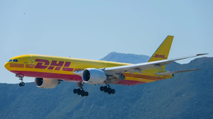 Spedizione Internazionale LCL DDP Rapida via Aerea, Arrivo in 6-10 Giorni DE/Germania, Dropshipping FBA, Magazzino Oltremare, Assicurazione 24/7 - Product Image 4