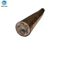 Cable Aislado Mineral con Cubierta de Cobre Rígido BS6387 EN 60702 4*25+1*16mm² para Redes de Distribución de Bajo Voltaje