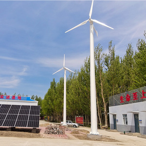 ใบรับรอง CE กังหันลมผลิตไฟฟ้าขนาด 20 กิโลวัตต์ สำหรับฟาร์ม ขายส่ง - Product Image 4