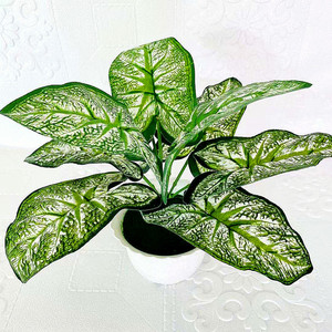 Plante verte artificielle en pot à huit feuilles, en tissu et plastique, plante d'intérieur décorative, article cadeau - Product Image 3