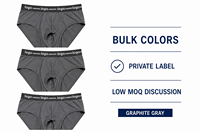 Slips pour hommes personnalisés modernes en 90 % polyester extensible, taille mi-haute, doux, respirants, confortables au quotidien, ajustement parfait, vente en gros