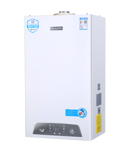 ODM Natural Gas Combi Boiler with Copper Heat Exchanger Energy Efficient Class a Smart Control & Quiet Residential Performance