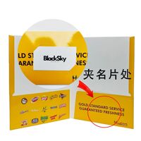 Porte-documents A4 en papier couché style enveloppe avec personnalisation pour insertion de couverture de livre, feuilles mobiles et porte-cartes