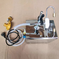 Machine de scellage manuelle d'ampoules RF-1A Mini, Scelleuse d'ampoules manuelle, Machine de remplissage et de scellage d'ampoules