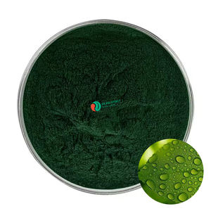 פיגמנט מזון טבעי אבקת כלורופיל סיטונאי 99% כלורופיל - Product Image 3