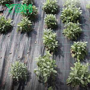 Tela de paisaje biodegradable PE/PP/<span class=keywords><strong>red</strong></span> tejida de plástico UV para control de malezas cubierta de suelo corte de propiedades <span class=keywords><strong>antihierba</strong></span> - Product Image 4