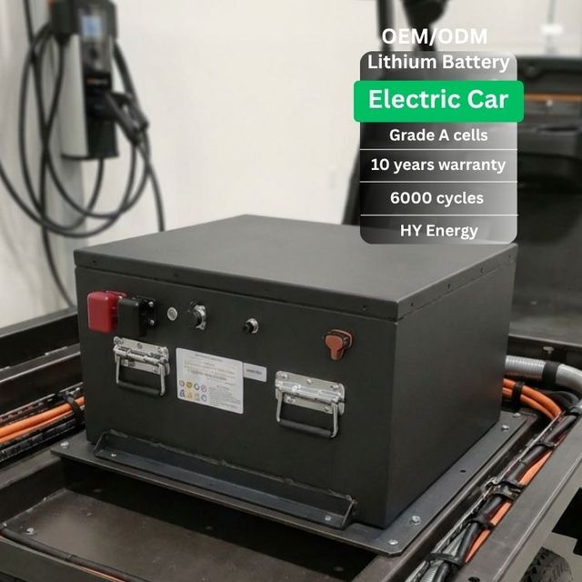 Custom Made 72V 96V Lithium Battery 48V300AH Low Speed Electric Car Battery