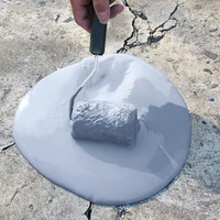 Matériau de revêtement imperméable en polyurée appliqué à la main Solution efficace pour imperméabiliser la résistance à la corrosion et à l'humidité