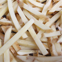 Industriële centrifugale groentesnijder, fruit- en groentestrip-snijmachine, aardappelchips verwerkingsmachine met motor