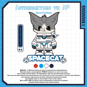Ensemble complet Space Cat 6-en-1 pour <span class=keywords><strong>Nintendo</strong></span> <span class=keywords><strong>Switch</strong></span> 2, étui de transport rigide en EVA avec coque de station d'accueil et design astronaute pour cartes de jeu - Product Image 2