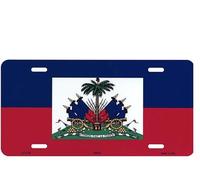 Plaque d'immatriculation patriotique 6x12 pouces pour voiture, drapeau national de la Tunisie 2026, pour le jour du match de football, décoration de voiture, vente en gros