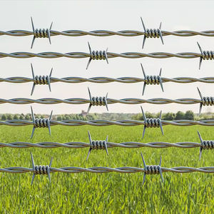 <span class=keywords><strong>Fil</strong></span> de fer direct d'usine galvanisé PVC enduit anti-escalade <span class=keywords><strong>fil</strong></span> de fer barbelé trempé à chaud <span class=keywords><strong>pour</strong></span> prix de clôture - Product Image 1