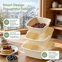 Égouttoir de lavage de fruits et légumes réaliste et raffiné, flexible, double couche, multifonction, grande taille, pour la maison