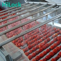 Ligne de production de machines de transformation de tomates pelées, coupées en dés et écrasées en conserve