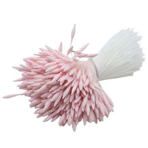 1480 Uds 2mm estilo coreano mate Flor de una sola cabeza <span class=keywords><strong>estambre</strong></span> para el Día del Padre Día DE LA MADRE Halloween DIY flor Artificial - Product Image 5