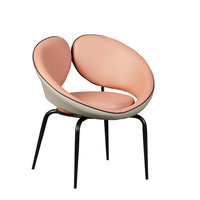 Chaise de salle à manger moderne convertible en métal écologique pour la maison, le salon, la chambre, le balcon - Loisirs café/thé et lait