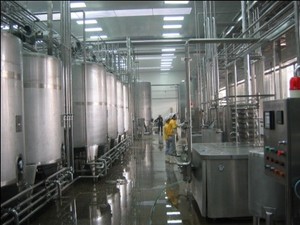 Equipo de Producción de Cerveza y Vino de 300, 500 y 1000 Litros para Proyectos A-Z, Modelo <span class=keywords><strong>Feijoa</strong></span> Acca Sellowiana, ¡Gran Venta! - Product Image 6