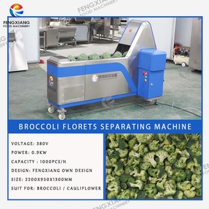 Machine de découpe automatique brevetée pour choux-fleurs et brocolis, capacité 2000-5000 kg/h, pour la découpe en fleurs de brocoli - Product Image 5