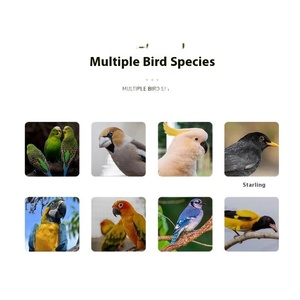 Maison de luxe grande hauteur perroquet Cage à oiseaux grande Villa fer Construction métal oiseau Wren Cage écologique grande Cage d'élevage - Product Image 5