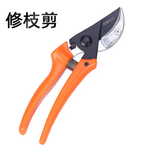Pruning Shears Bypass Type 20-30 Mm Stainless Steel Orange Handle Lightweight Gardening Tool - Product Image 1